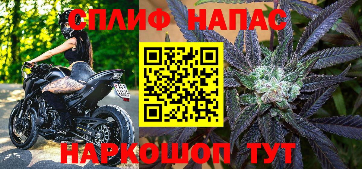 Каннабис планчик Феодосия